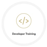 developer preview