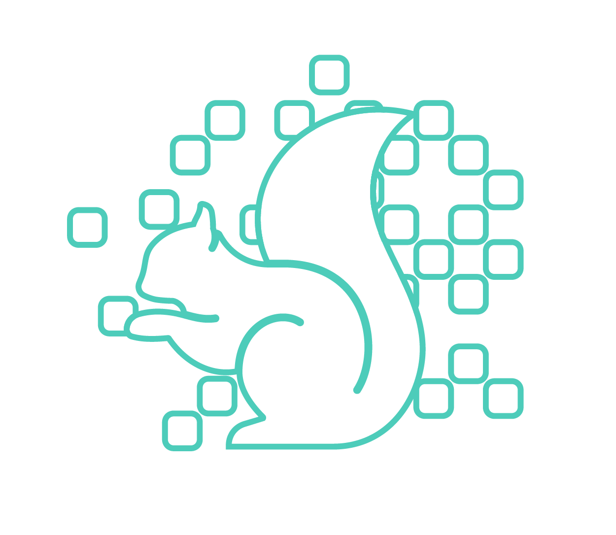 VERA Squirrel